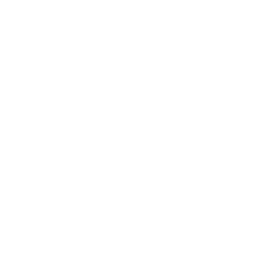 Lighter — Uncommon Emote