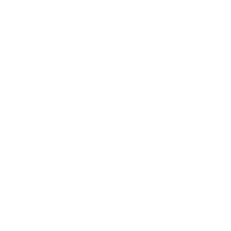 Lil' Circuit Racer — Rare Emote