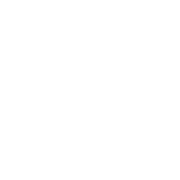 Voyager's Cube — Uncommon Emote