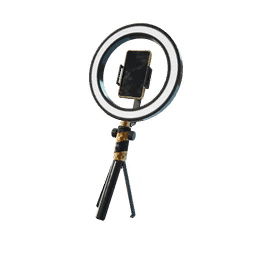 Ring Light To Go — Rare Back Bling