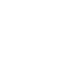 Barrier Breaker — Uncommon Emote