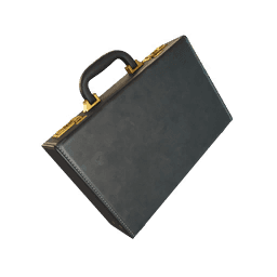 The Briefcase — Rare Back Bling