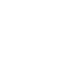Assumptions — Uncommon Emote