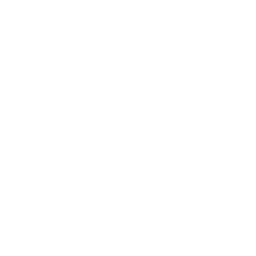 Dwight's Lil' Lead Car — Uncommon Emote