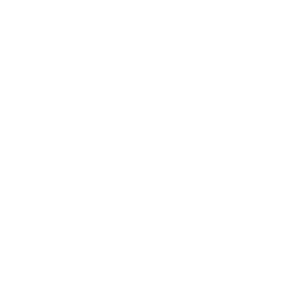 She Is the Boss — Uncommon Emote