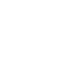 Shadow Summoner — Uncommon Emote