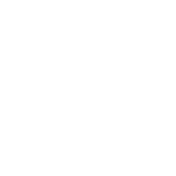 Shadow Shift — Uncommon Emote
