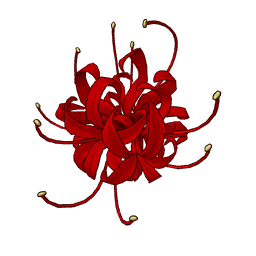 Red Spider Lily — Rare Back Bling