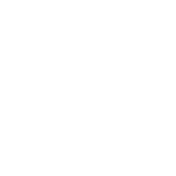 Engine Adjuster — Uncommon Emote
