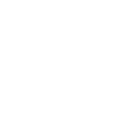 Gauntlet Greeting — Uncommon Emote