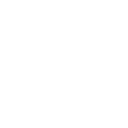 Juniper — Uncommon Skin