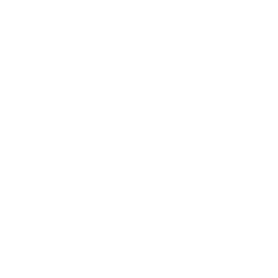 Wings — Uncommon Skin