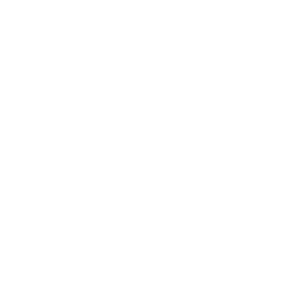Juniper — Uncommon Skin