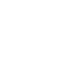 Wings — Uncommon Skin