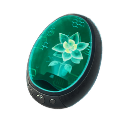 Specimen Terra — Rare Back Bling