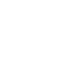 Oathbound Duel — Uncommon Emote
