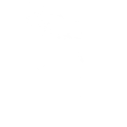 Take the Wheel — Uncommon Emote