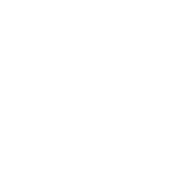 Reel Life — Uncommon Skin