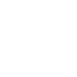 Wings — Uncommon Skin