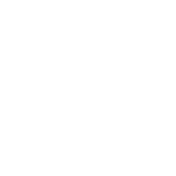 Professional Gray — Uncommon Skin