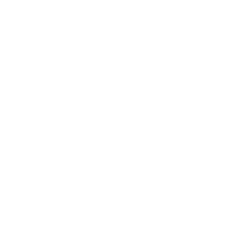 Guardian's Parade — Uncommon Emote