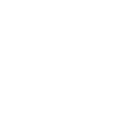 Blank — Uncommon Skin
