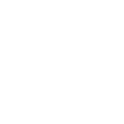 Blank — Uncommon Skin