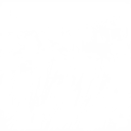 Blank — Uncommon Skin