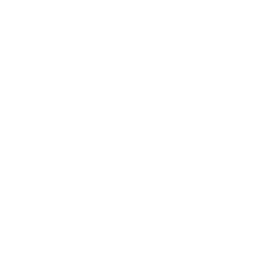 Blank — Common Skin