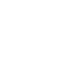 Blank — Common Skin