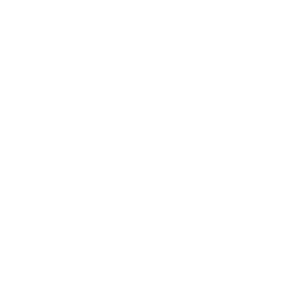 Victor — Common Skin
