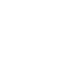 Victory Flag — Uncommon Emote