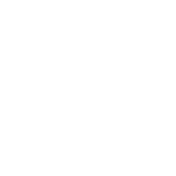 Samurai Flourish — Uncommon Emote