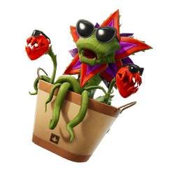 Summer Snapper — Rare Back Bling