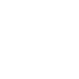 Blank — Uncommon Skin