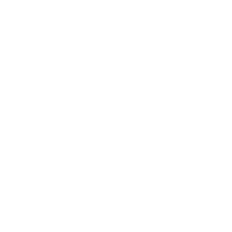 Blank — Uncommon Skin