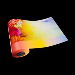 Addison — Rare Wrap