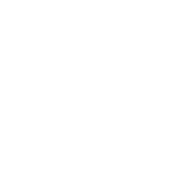 Continue? Coin — Uncommon Emote