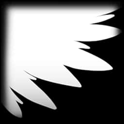 Wings — Uncommon Skin