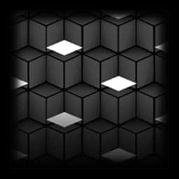 Blank — Uncommon Skin