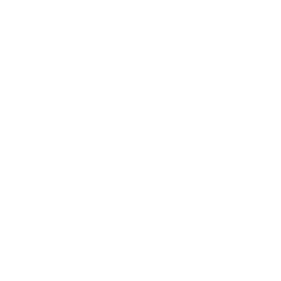 Blank — Common Skin