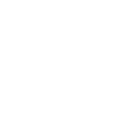 Blank — Common Skin