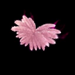 Madison's Angel Wings — Rare Back Bling