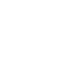 Steel Line — Common Skin