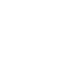 Black Bulls Asta — Common Skin