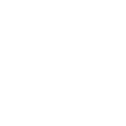 Black Bulls Noelle — Common Skin
