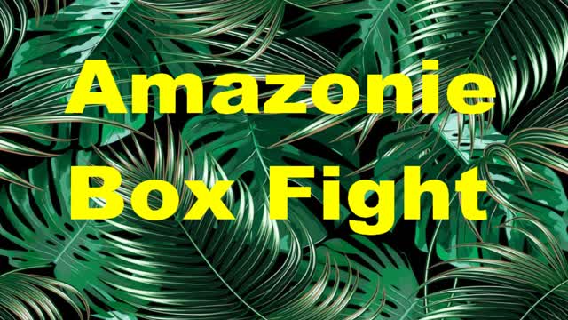 Amazonie Box Fight — Fortnite Creative map