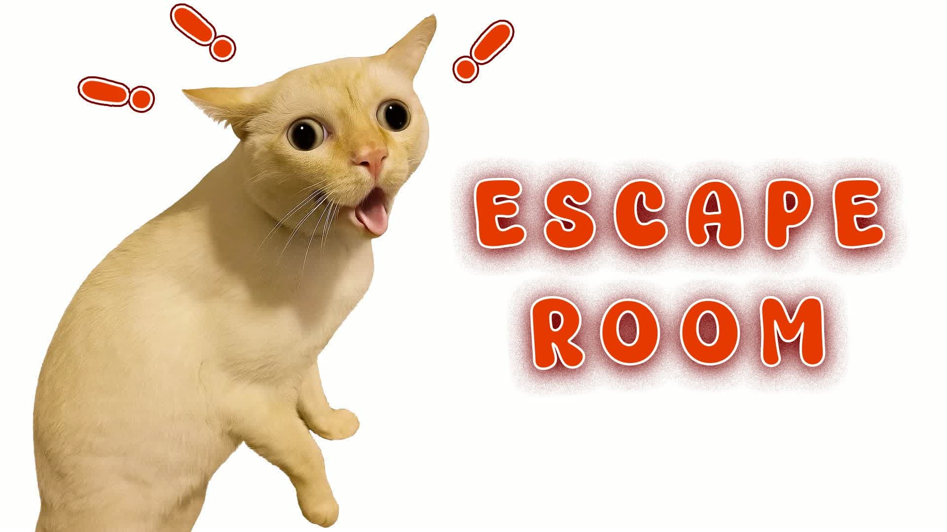 👑 Cat IQ Escape Room 👑 — Fortnite Creative map