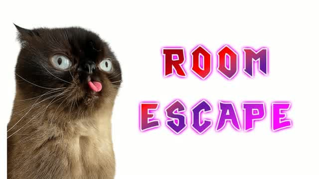 🧠 Cats IQ Escape Room 🔑 — Fortnite Creative map cover art