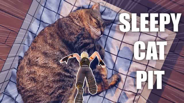 SLEEPY CAT PIT - FREE FOR ALL — Fortnite Creative map cover art